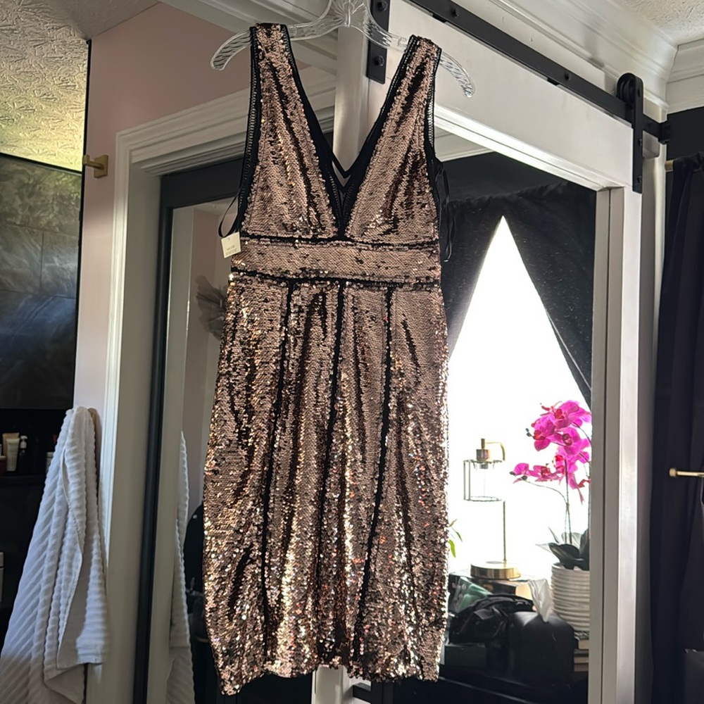 ❤Boston Proper sequin and mesh dress size XS NWT❤